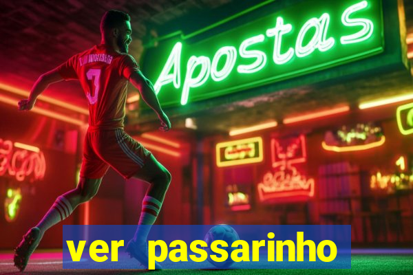 ver passarinho morto significado